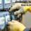 Avoiding Cuts, Pinches, and Hand Injuries